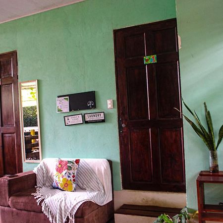 The Jungle Container Bed & Breakfast Quepos Ngoại thất bức ảnh