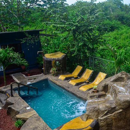 The Jungle Container Bed & Breakfast Quepos Ngoại thất bức ảnh