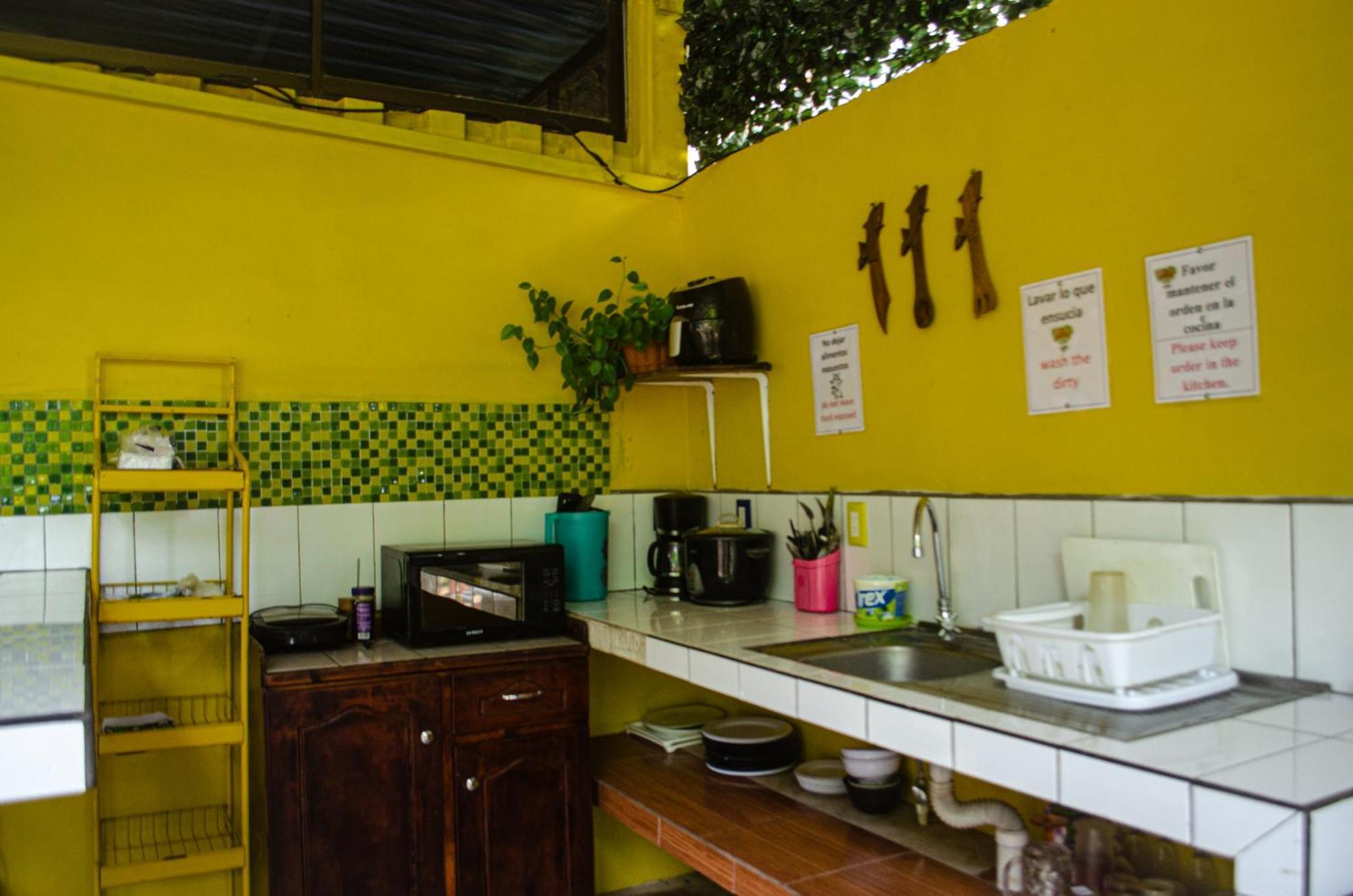 The Jungle Container Bed & Breakfast Quepos Ngoại thất bức ảnh